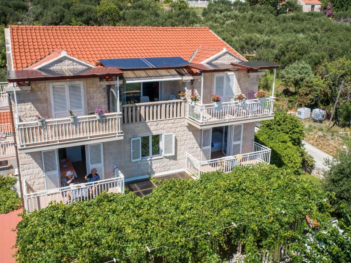 Apartment Njiric Zaton (Dubrovnik-Neretva)